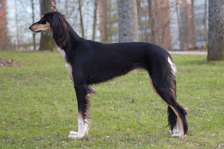 Tazillah Fadia Farahnaz